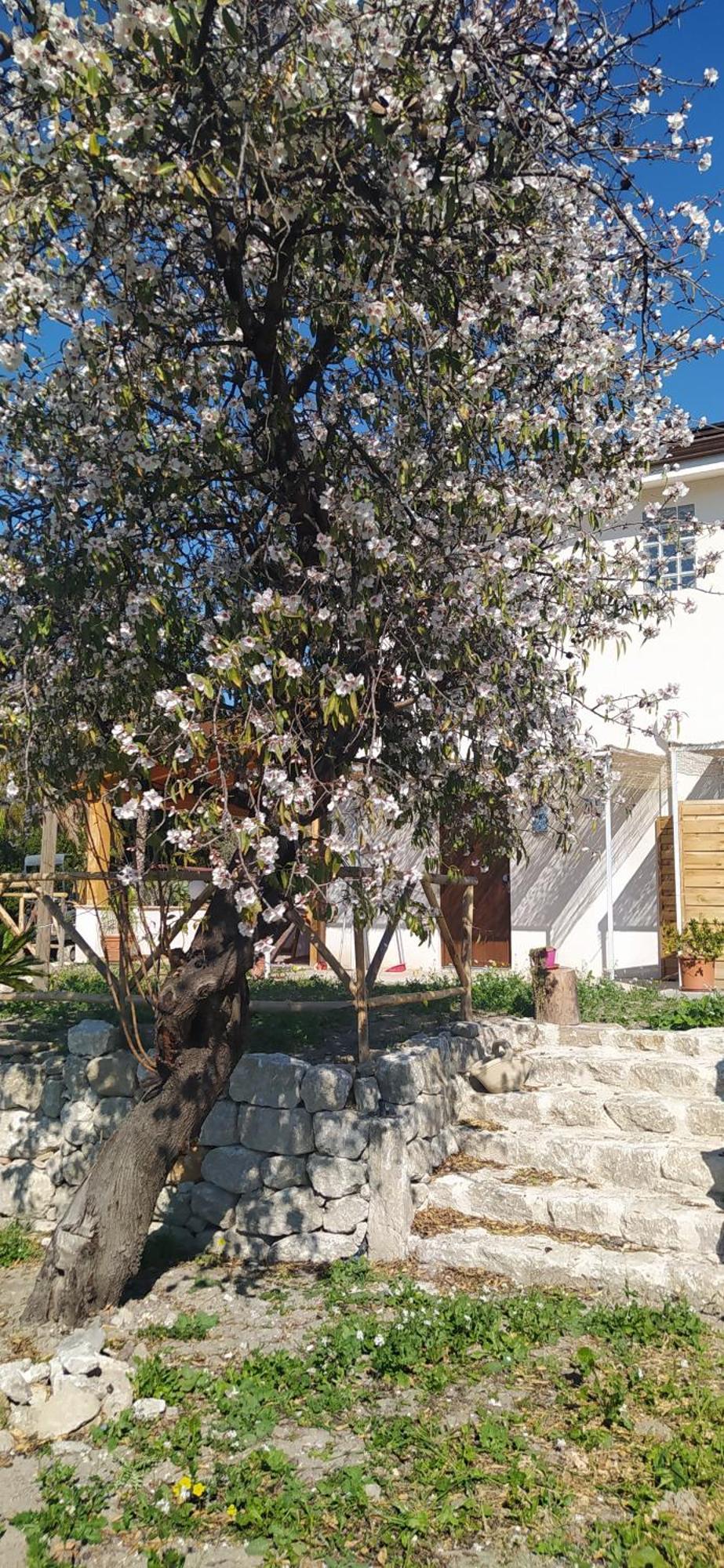 Agriturismo Adenzia Porto Empedocle Esterno foto