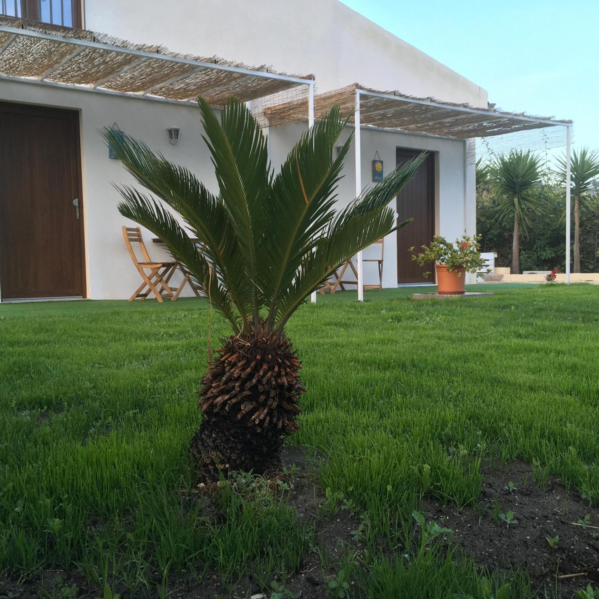 Agriturismo Adenzia Porto Empedocle Esterno foto